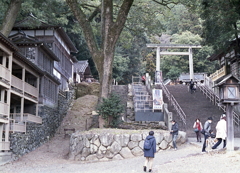 参拝へ歩き出す家内