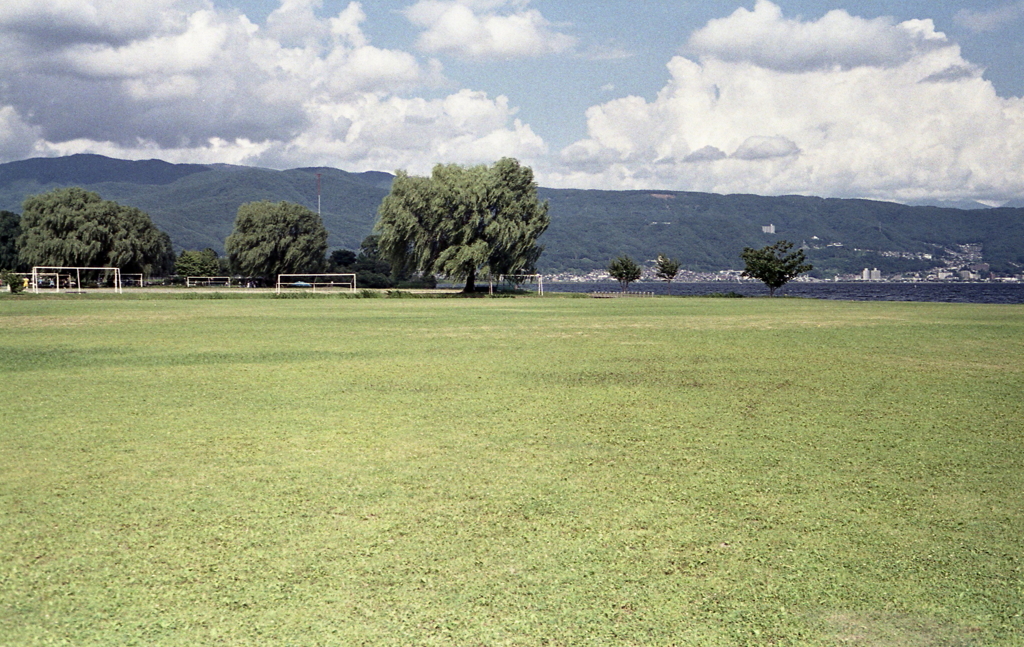 風に棚引く湖畔の木々