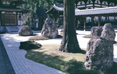 枯山水岩島に何を思うか