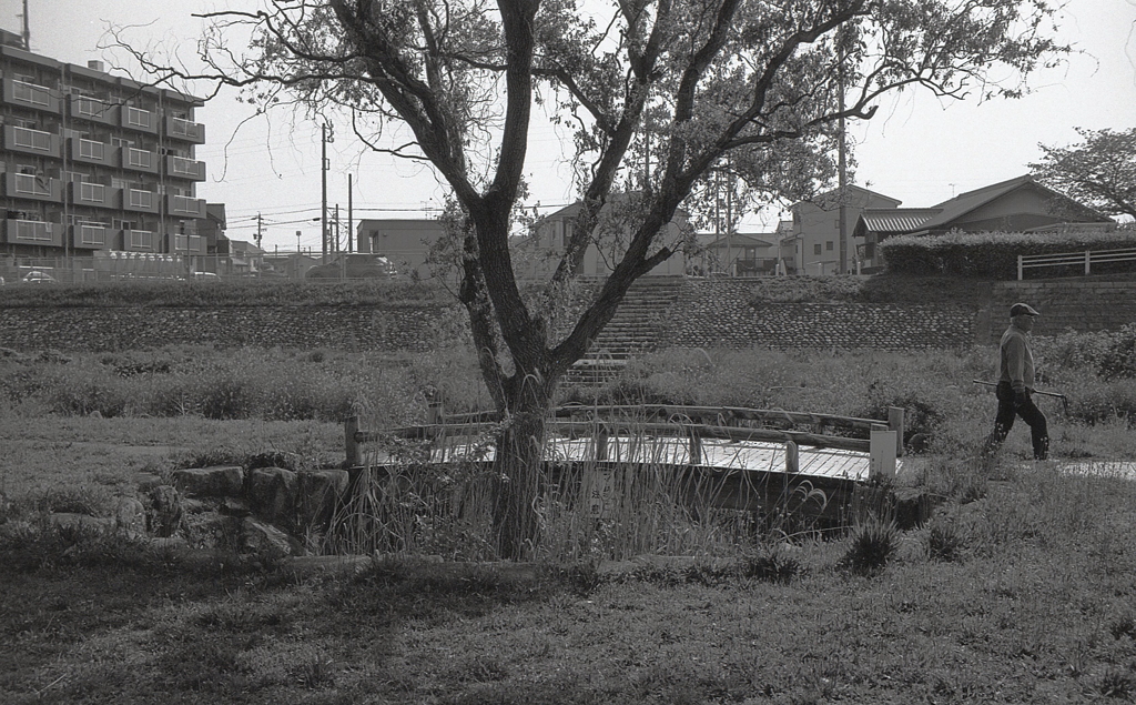 早起きは三文の徳！って、ほんとかな？（笑