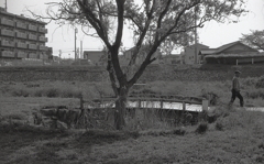 早起きは三文の徳！って、ほんとかな？（笑