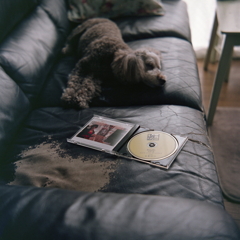 「South.」　by Yasuda minami