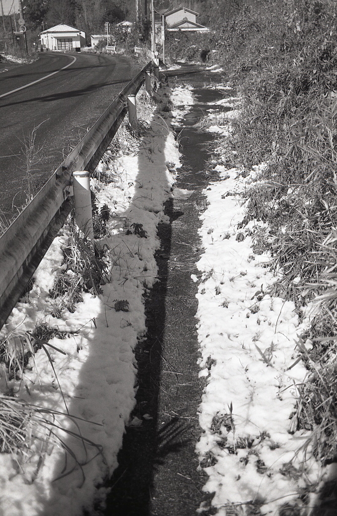 降雪の翌朝