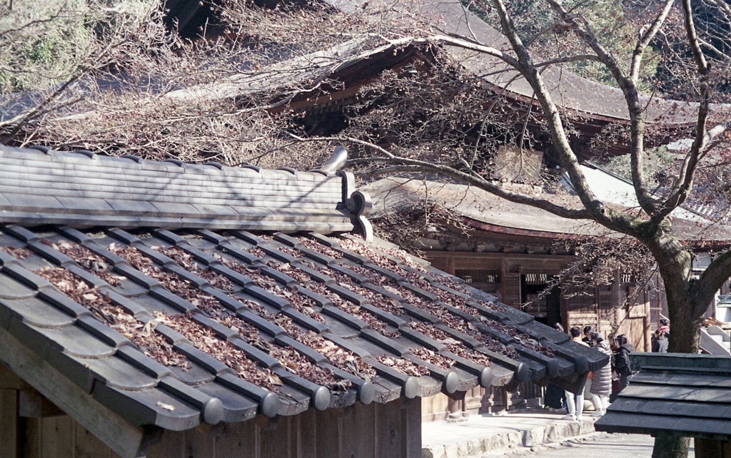 瀬戸定光寺へ墓参と初詣