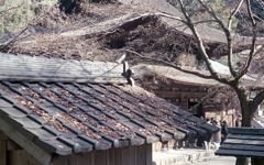 瀬戸定光寺へ墓参と初詣