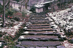 薄雪化粧の石段 薄雪化粧の石段