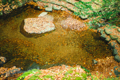 秋芳町白糸の滝