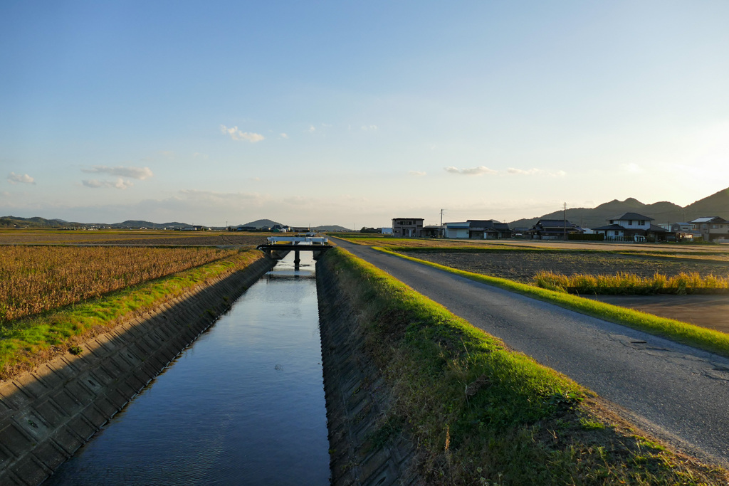 道