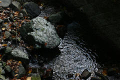 秋芳町白糸の滝