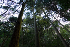 秋芳町白糸の滝