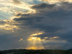 iPhoneでもキレイに撮れる