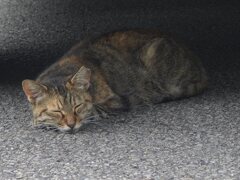 港ー1
