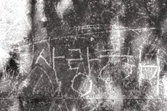 心なき人の記録