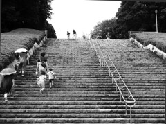 暑い日の階段