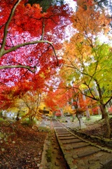 清水寺（せいすいじ）の紅葉