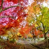 清水寺（せいすいじ）の紅葉