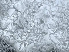 車のフロント　フローズン