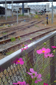 線路沿いにさりげなく