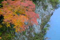 高瀬渓谷の紅葉