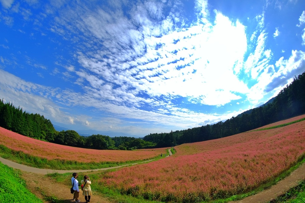 2人でこの景色を