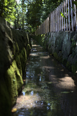 流れの行きつく先は