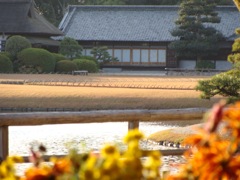 DSC00518
