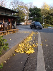 DSC00480
