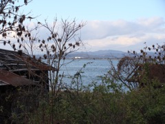 DSC01763
