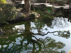 DSC01931