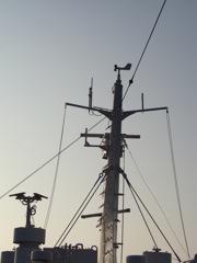 DSC00204