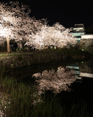 福岡城の潮見櫓