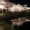 福岡城の潮見櫓