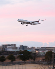 夕焼けと飛行機