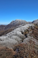 雪化粧の三俣山