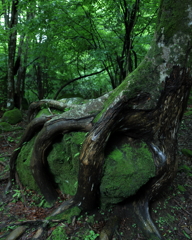 生命感