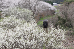 平成筑豊鉄道の黒銀