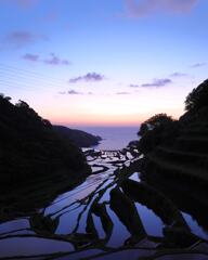 浜野浦の棚田