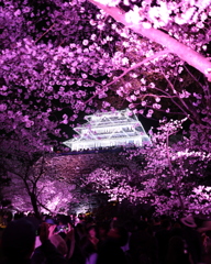 幻の天守閣