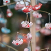 現人神社の魚