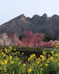 根子岳
