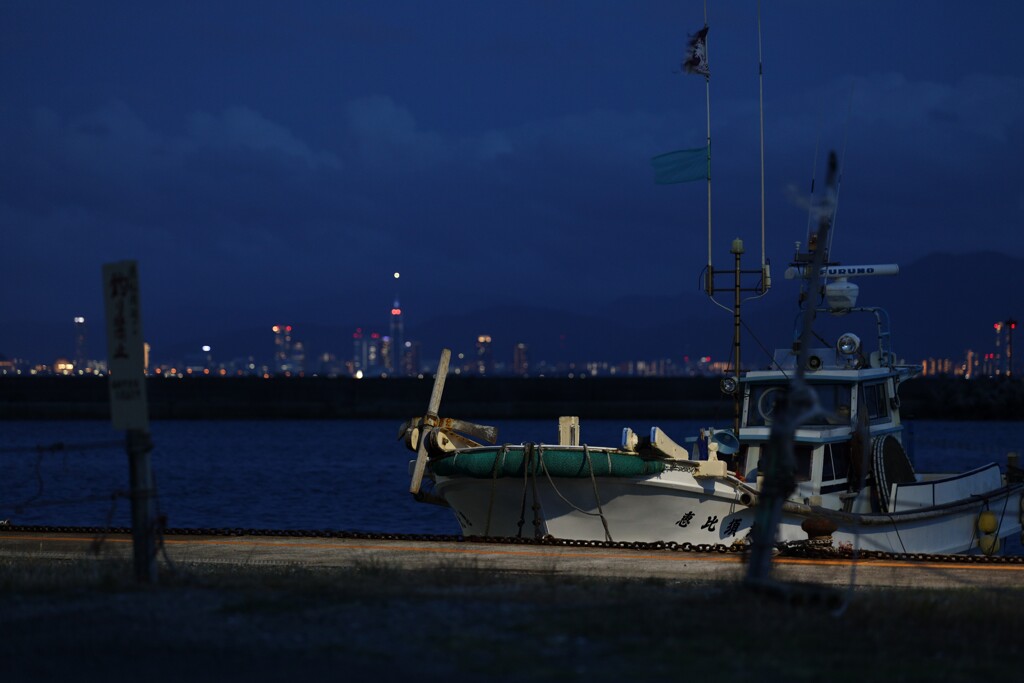 福岡タワーが見える夜景