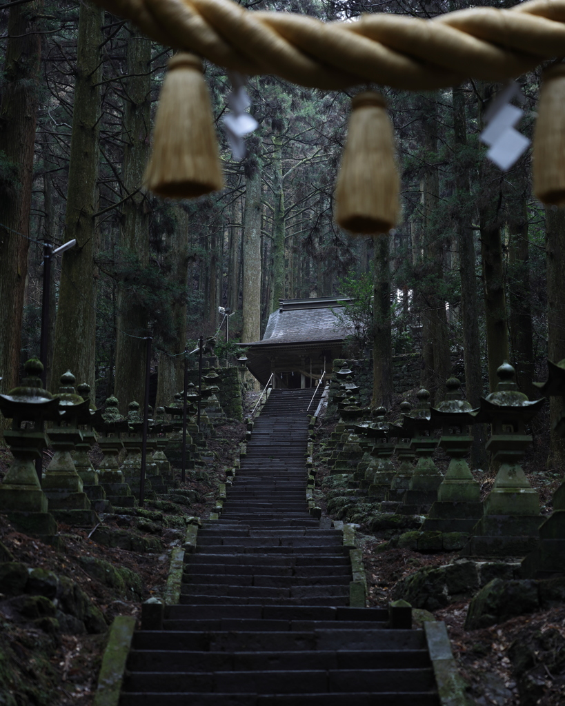 雨でしっとりした上色見熊野座神社