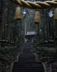 雨でしっとりした上色見熊野座神社