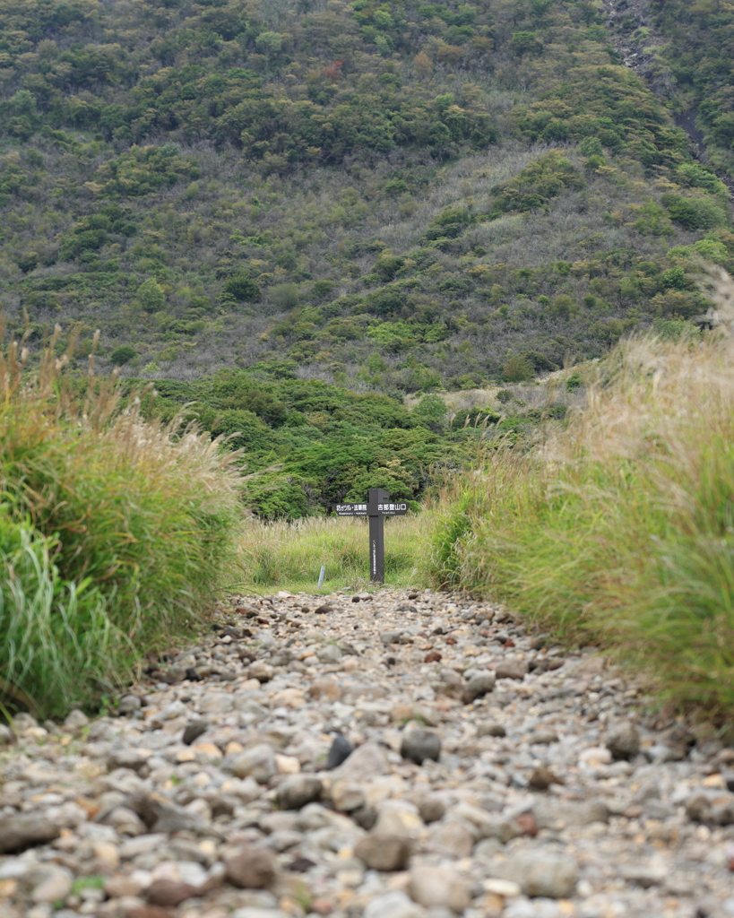 坊ガツル湿原
