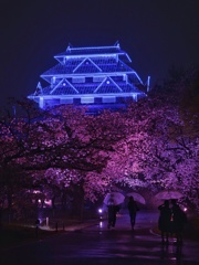 福岡城さくらまつり