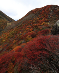 三俣山の紅葉