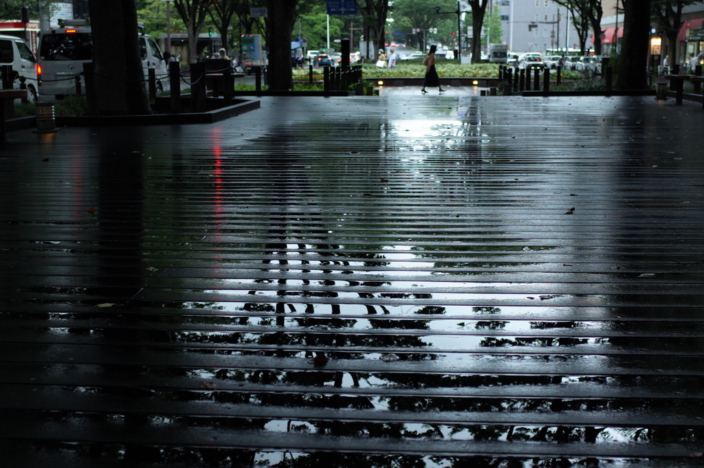 雨上がりに