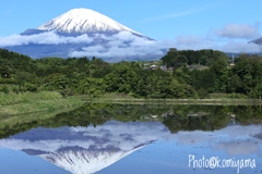 田植え直前の富士山