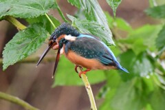 満腹後で．．．