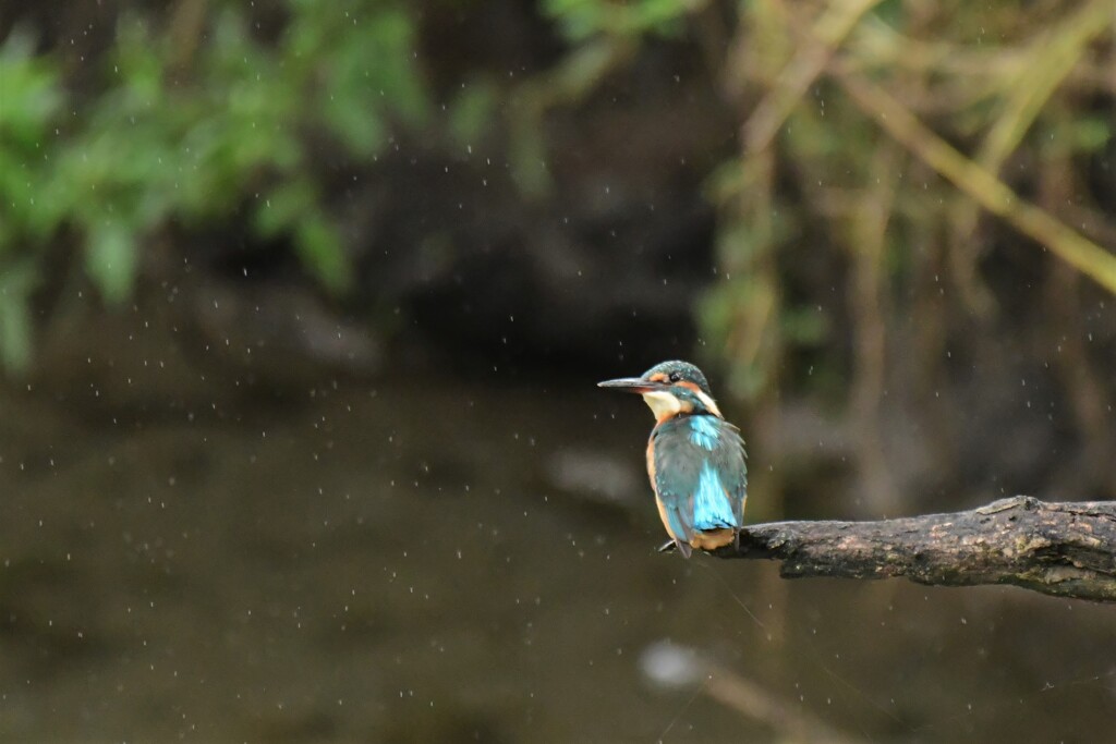 雨の日でも．．．